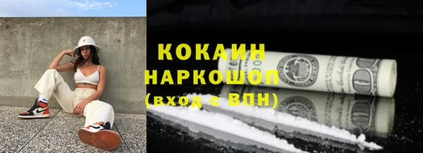 шишки Михайловск