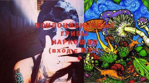 шишки Михайловск