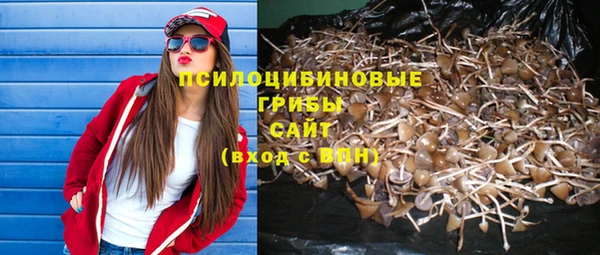 ALPHA PVP Медвежьегорск