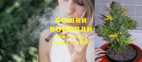 шишки Михайловск