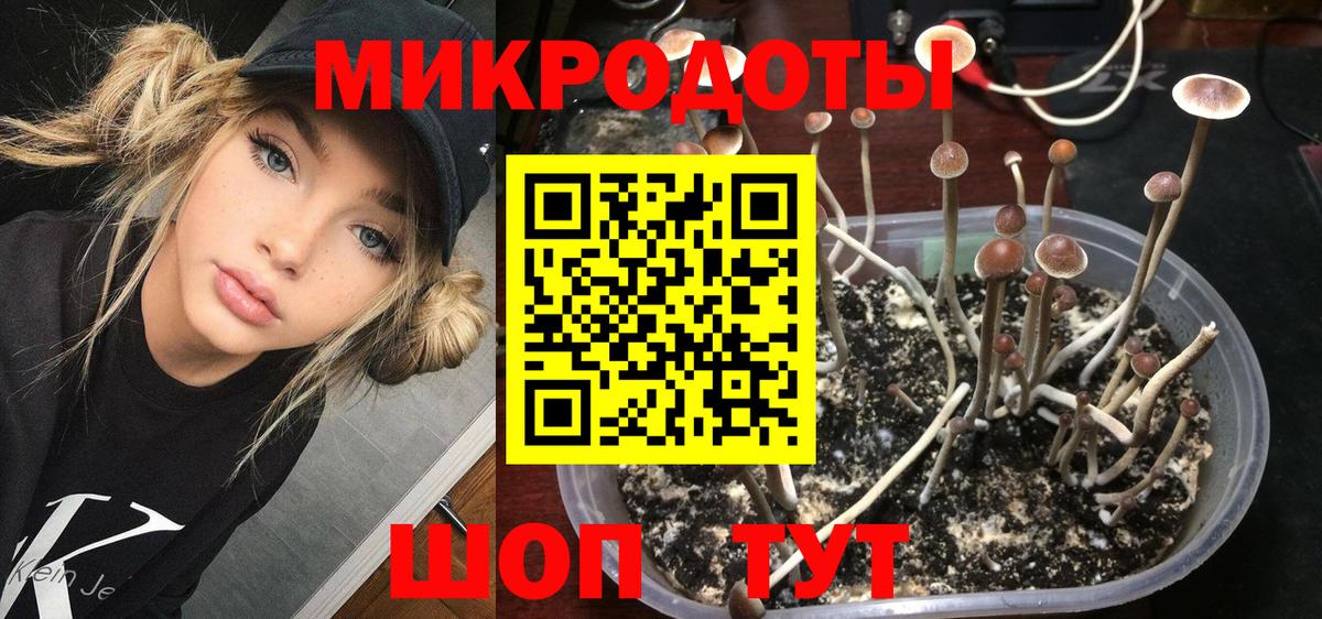 Псилоцибиновые грибы Cubensis Родники