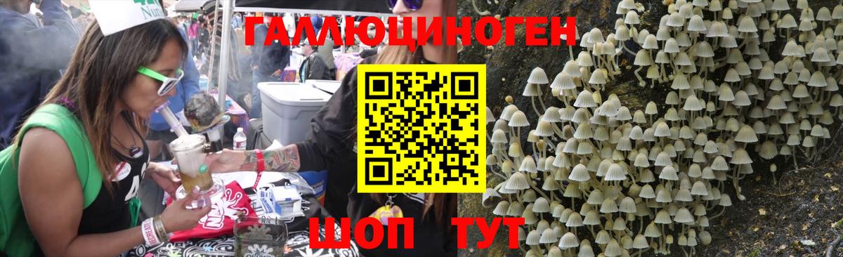 Галлюциногенные грибы мицелий  Родники 